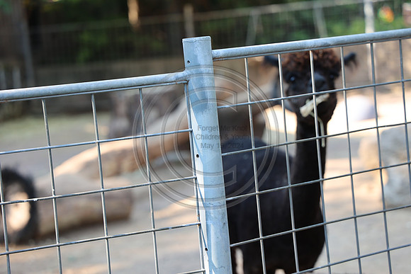 KTIN9668. Philadelphia Zoo 08112024 ktiplaura@gmail.com
