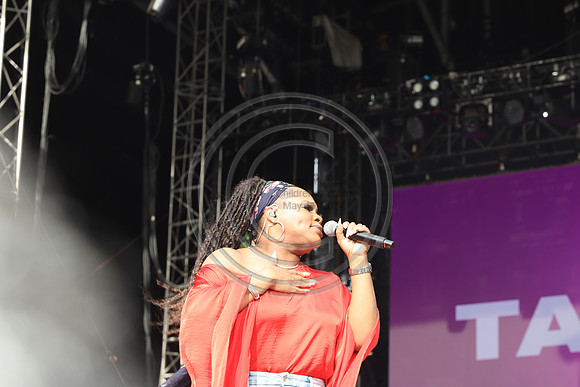 IMG_0927.  ROOTS PICNIC 2024 mylifeourlifestory@gmail.com
