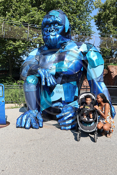 KTIN9632. Philadelphia Zoo 08112024 ktiplaura@gmail.com