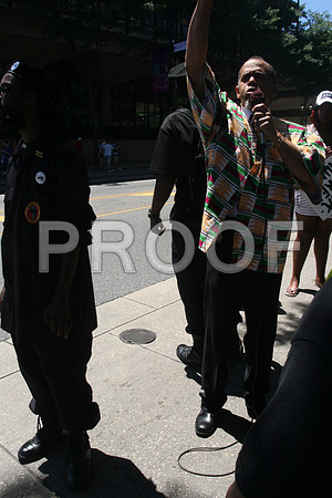 Pam Africa  (14)