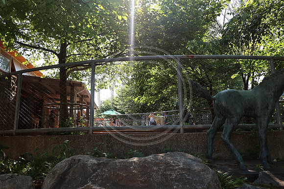 KTIN9634. Philadelphia Zoo 08112024 ktiplaura@gmail.com