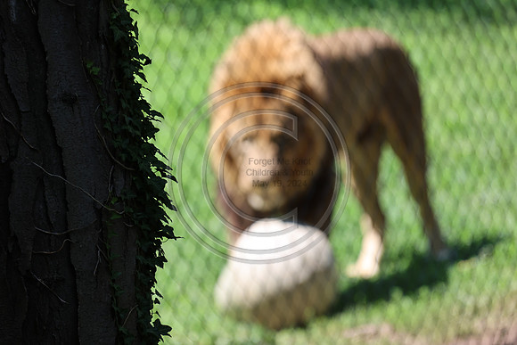 KTIN9488. Philadelphia Zoo 08112024 ktiplaura@gmail.com