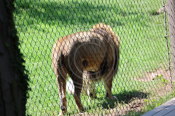 KTIN9455. Philadelphia Zoo 08112024 ktiplaura@gmail.com