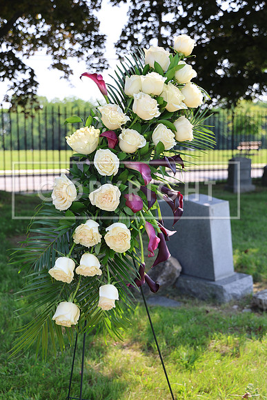 ROSS0031 EDEN CEMETERY 06042025 HEADSTONE UNVEILING CEREMONY Stephen Smith 1795 - 1873 KTIPLAURA
