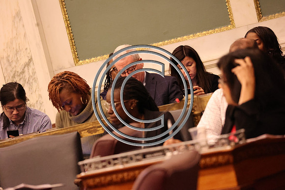 MAHL0754 Dr. Nikia Owens Campaign For Working Families (CWF) City Hall 2025 0326 B KTIPLAURA