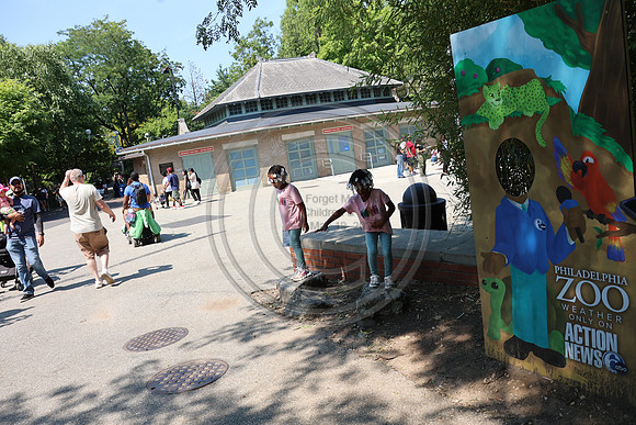 KTIN9556. Philadelphia Zoo 08112024 ktiplaura@gmail.com