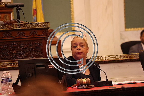MAHL0764 Dr. Nikia Owens Campaign For Working Families (CWF) City Hall 2025 0326 B KTIPLAURA