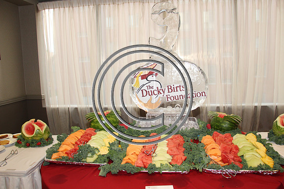 Ducky Birts Foundation Philadelphia 04182015  (2)