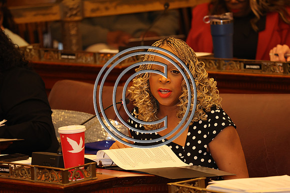 MAHL0591 Dr. Nikia Owens Campaign For Working Families (CWF) City Hall 2025 0326 B KTIPLAURA