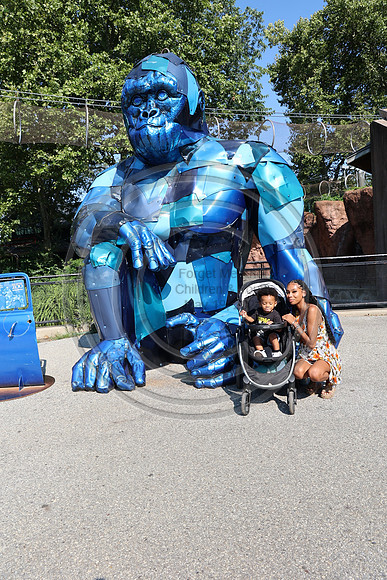 KTIN9631. Philadelphia Zoo 08112024 ktiplaura@gmail.com