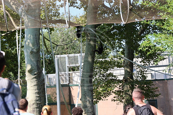 KTIN9603. Philadelphia Zoo 08112024 ktiplaura@gmail.com