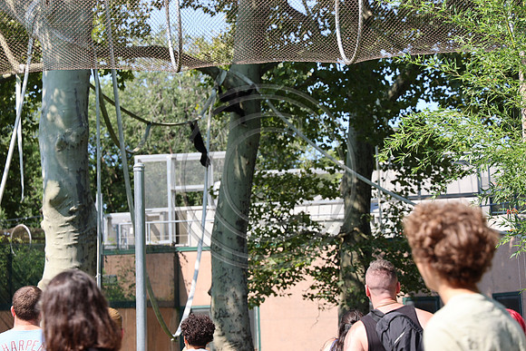 KTIN9605. Philadelphia Zoo 08112024 ktiplaura@gmail.com