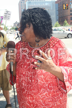 Pam Africa  (20)