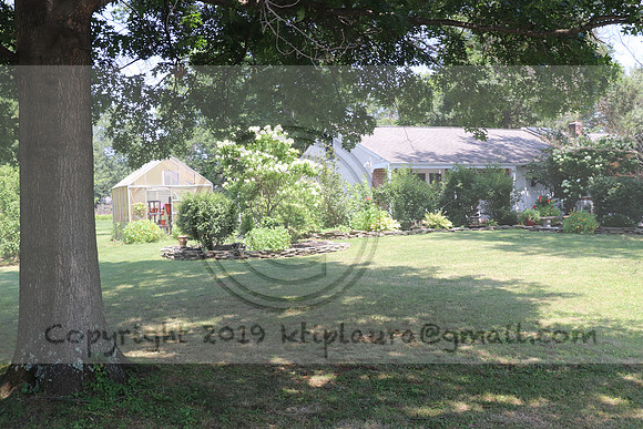 IMG_2585.Torpedopot July 26,2020 @KTIP Laura Elam