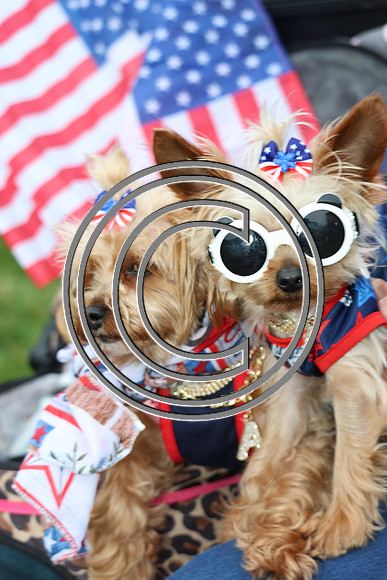 PHSL1581 U.S. Army celebrates 250th anniversary in Philadelphia June 14, 2025