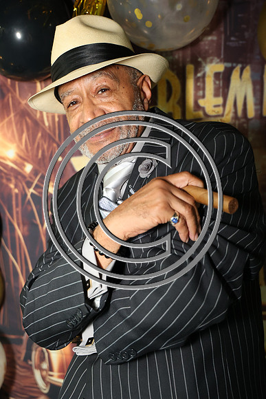 KTIN1021. Roaring 20 Party 08242024 ktiplaura@gmail.com
