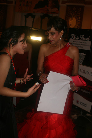 The Red Ball 2012  Lauraelam (1)