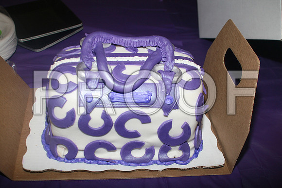 Pancreatic Cancer   June 2 2012  Year 2   MRS BURKS-JENKINS (1020)