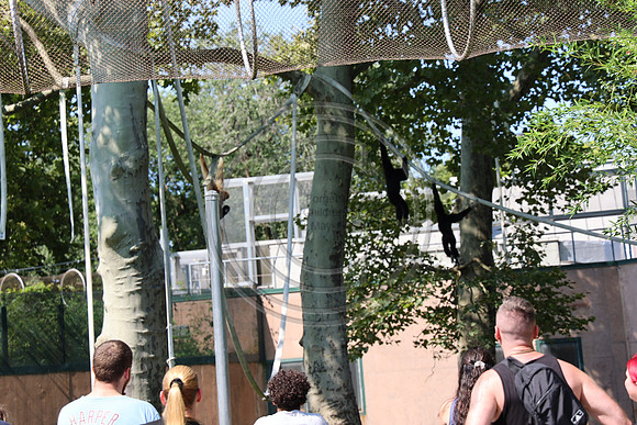 KTIN9601. Philadelphia Zoo 08112024 ktiplaura@gmail.com